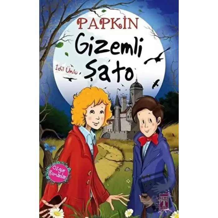 Papkin Gizemli Şato (Ciltli)