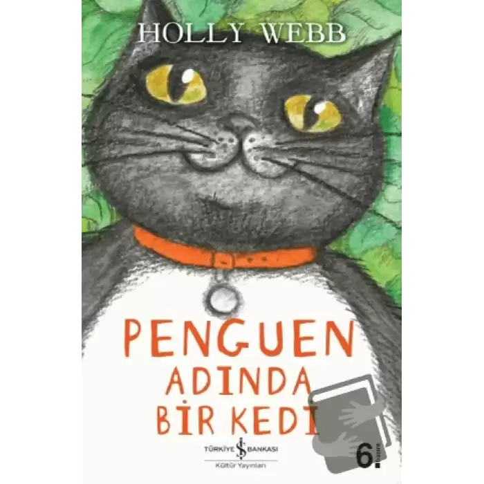 Penguen Adında Bir Kedi