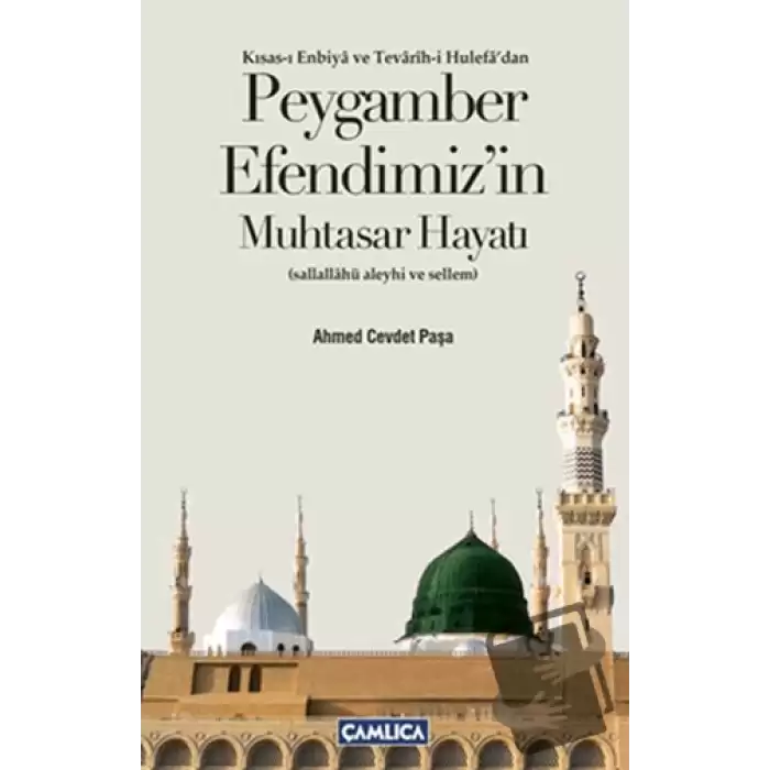 Peygamber Efendimizin Muhtasar Hayatı