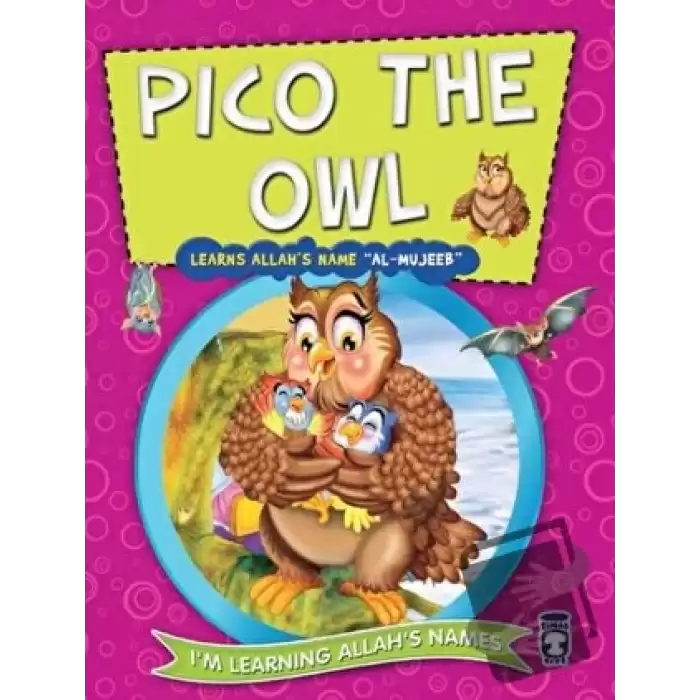 Pico the Owl Learns Allahs Name Al Mujeeb