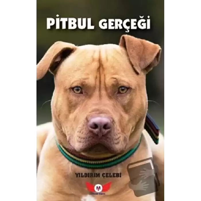 Pitbul Gerçeği