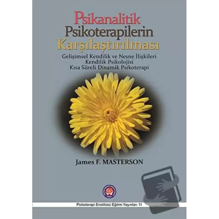 Psikanalitik Psikoterapilerin Karşılaştırılması