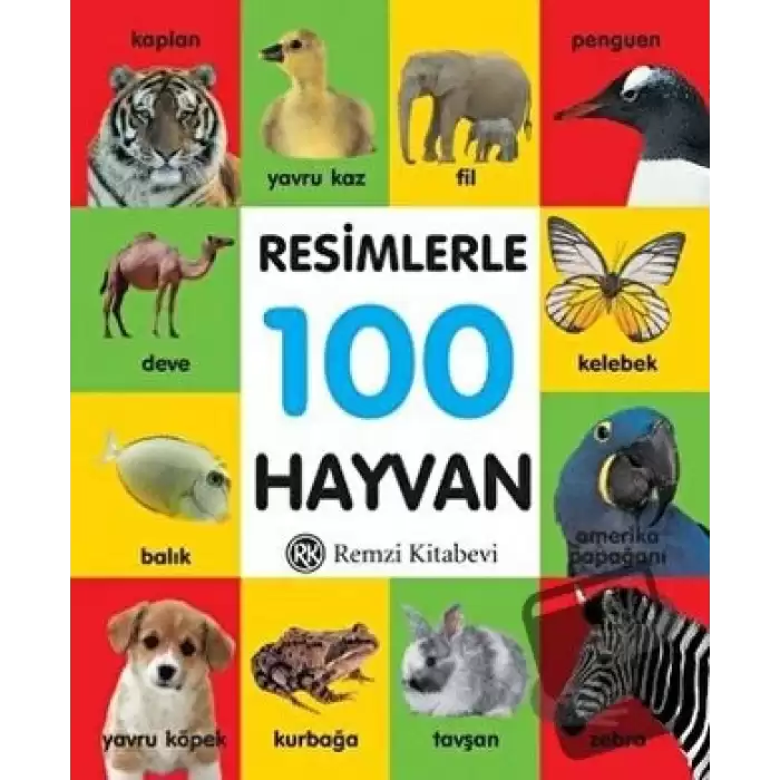 Resimlerle 100 Hayvan (Küçük Boy) (Ciltli)