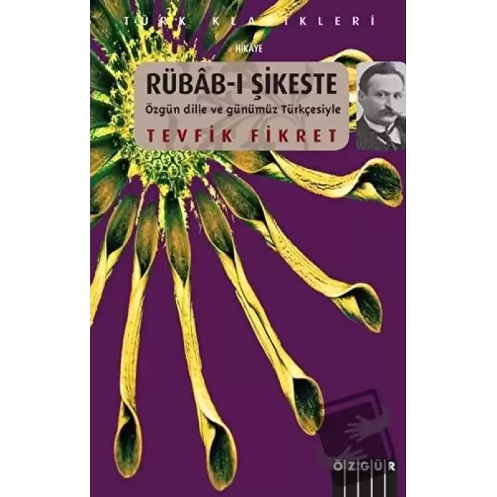 Rübab-ı Şikeste