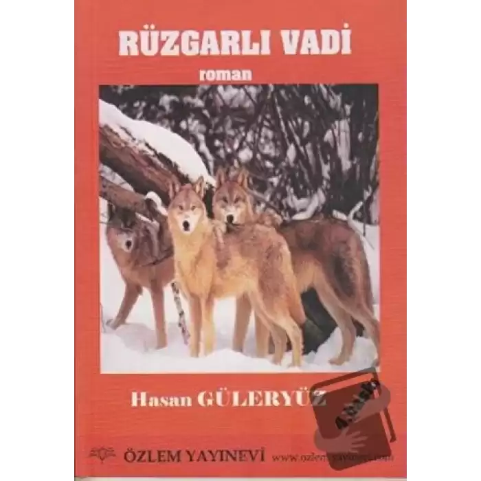 Rüzgarlı Vadi