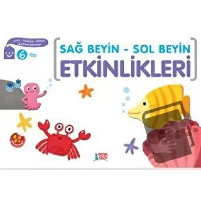 Sağ Beyin - Sol Beyin Etkinlikleri (6 Yaş)