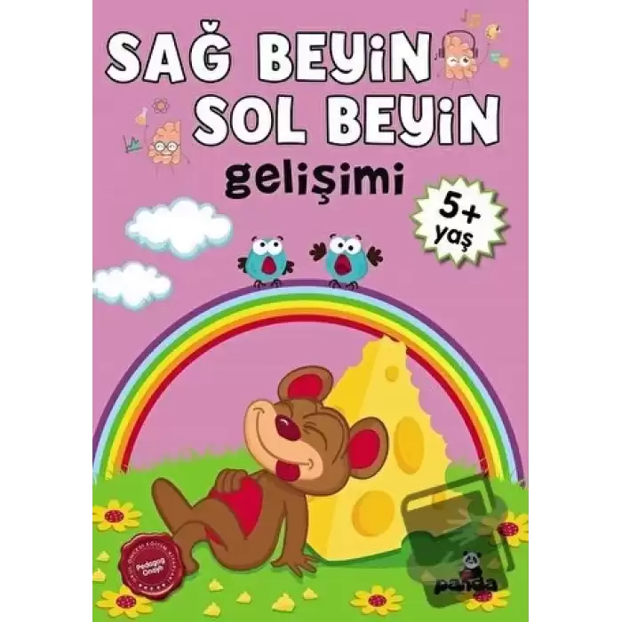 Sağ Beyin - Sol Beyin Gelişimi +5 Yaş