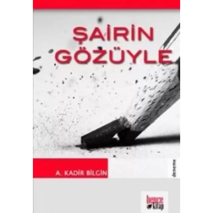 Şairin Gözüyle