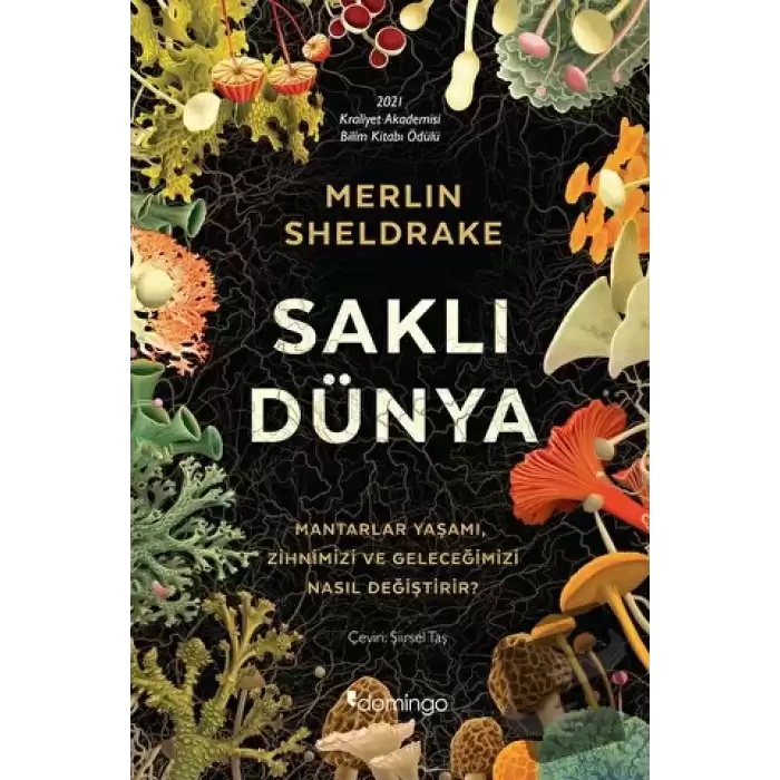 Saklı Dünya