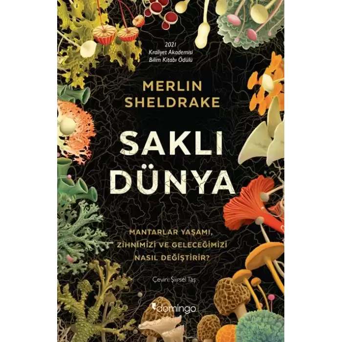 Saklı Dünya