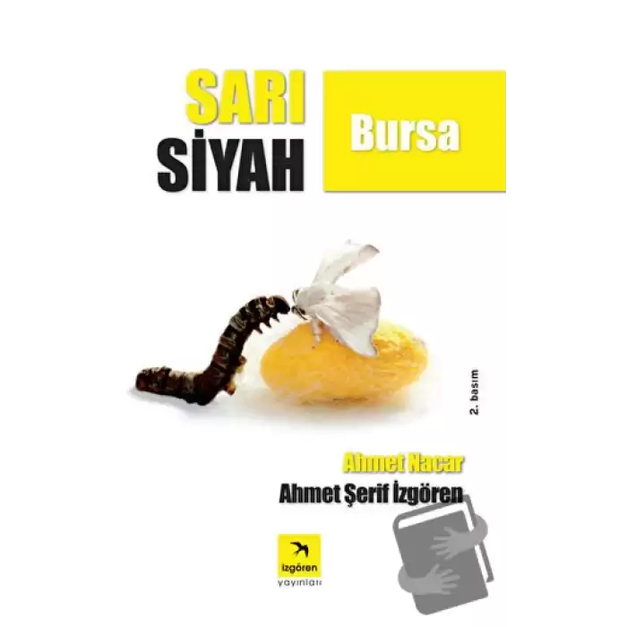 Sarı Siyah Bursa