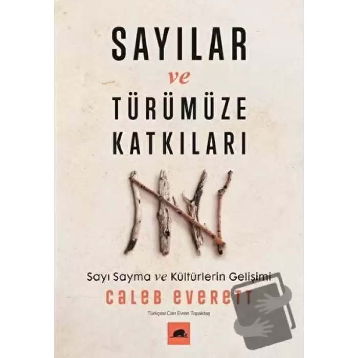 Sayılar ve Türümüze Katkıları