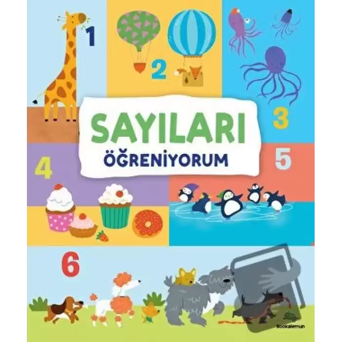 Sayıları Öğreniyorum