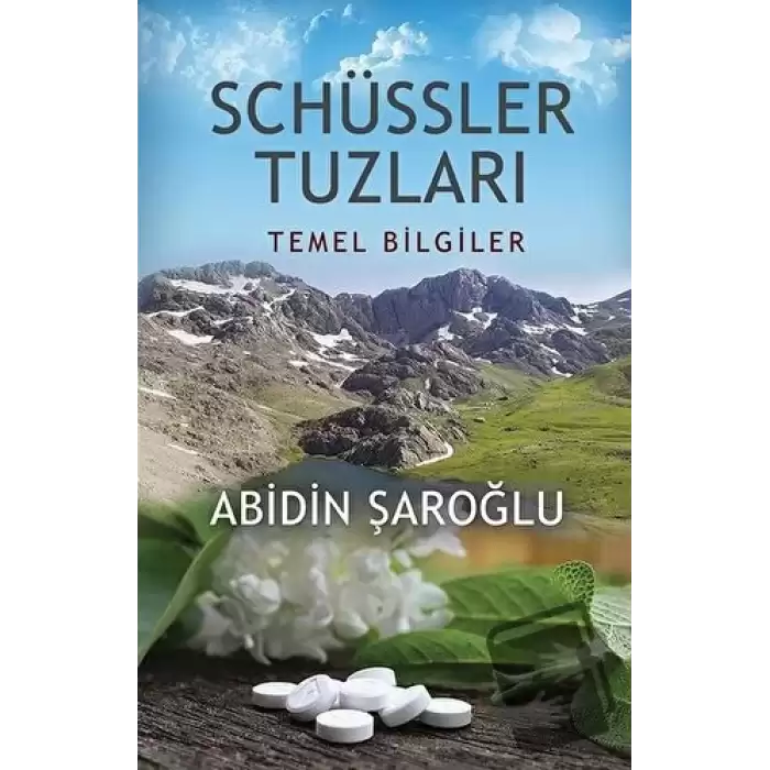 Schüssler Tuzları