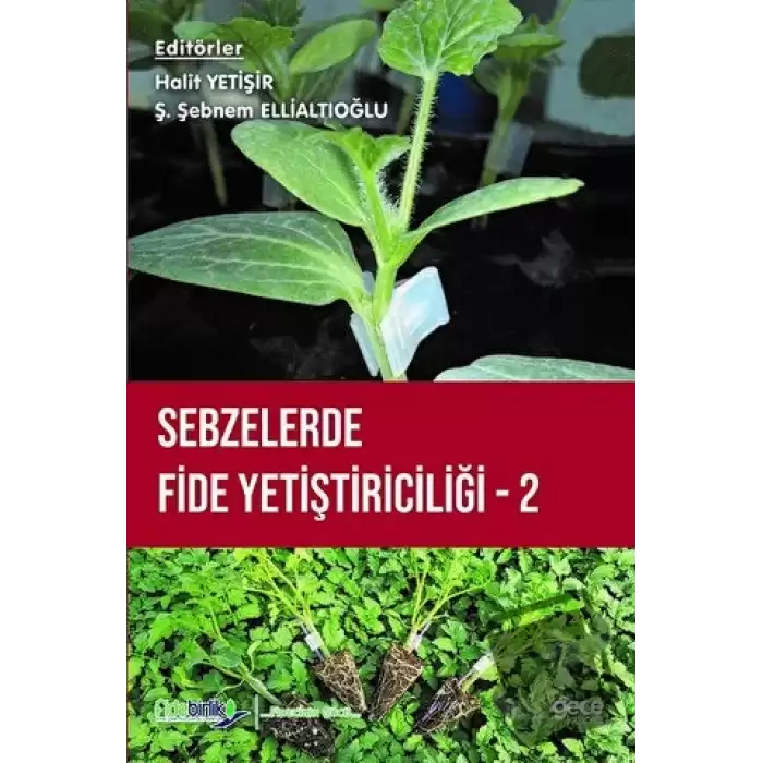 Sebzelerde Fide Yetiştiriciliği 2