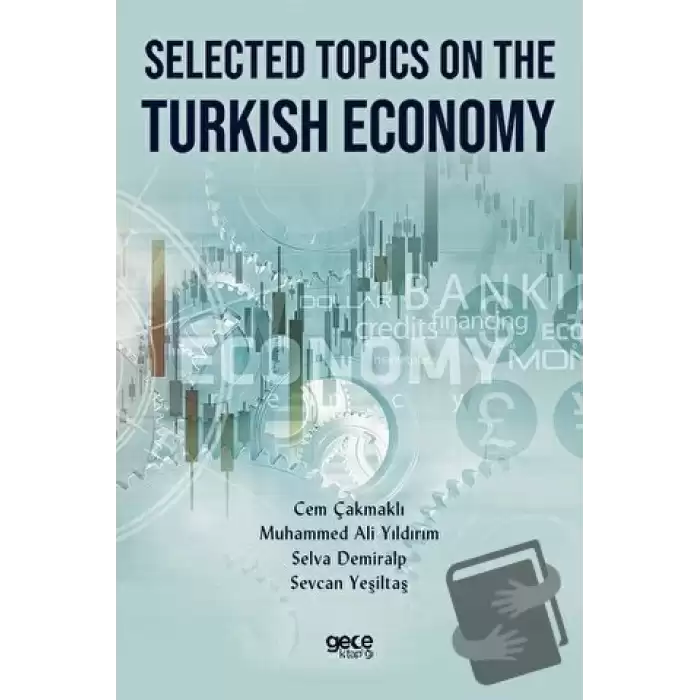 Selected Topics on The Turkish Economy