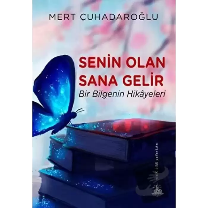 Senin Olan Sana Gelir