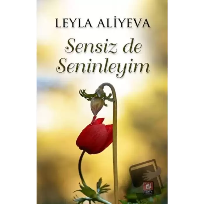 Sensiz de Seninleyim