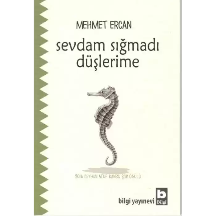 Sevdam Sığmadı Düşlerime