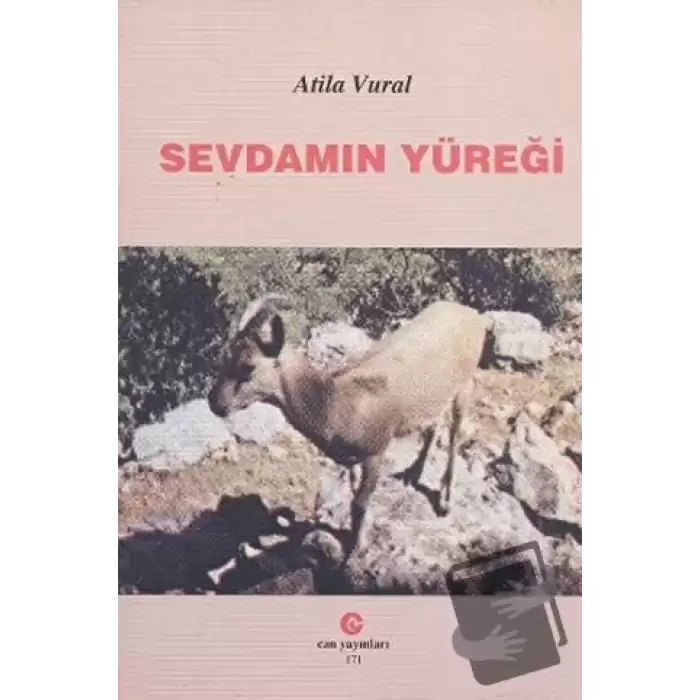 Sevdamın Yüreği