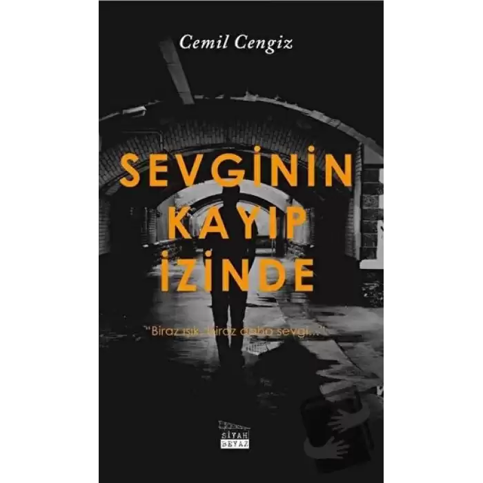 Sevginin Kayıp İzinde