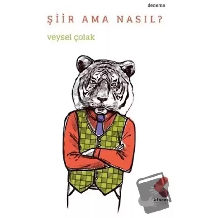 Şiir Ama Nasıl?