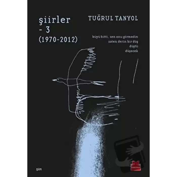 Şiirler - 3 (1970-2012)