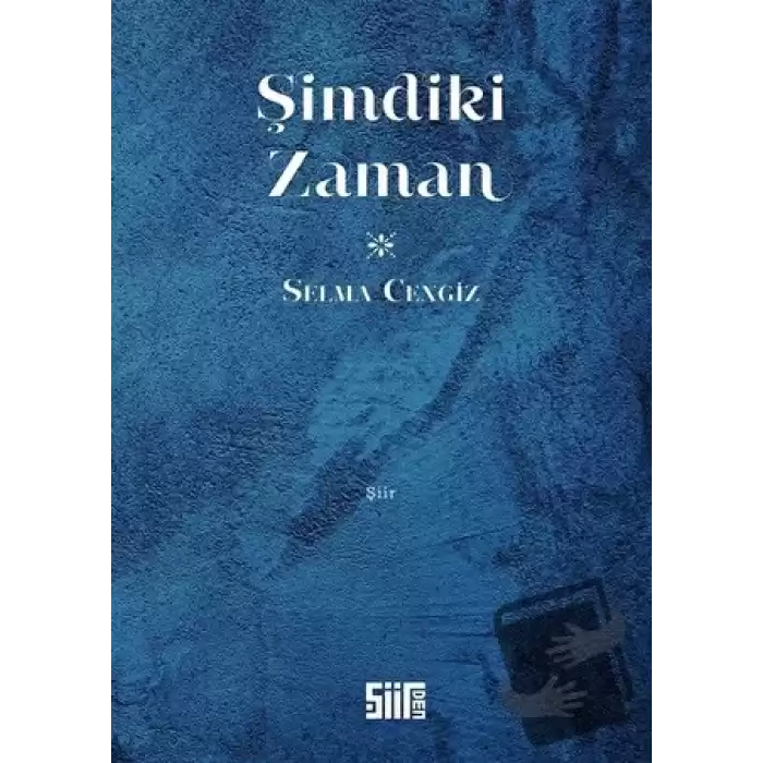 Şimdiki Zaman