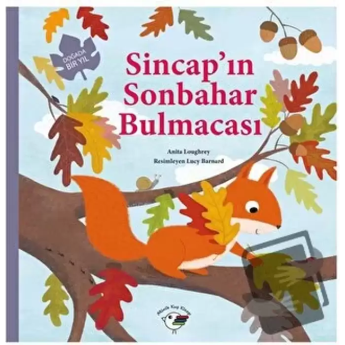 Sincap’ın Sonbahar Bulmacası – Doğada Bir Yıl