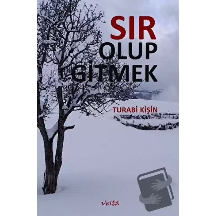 Sır Olup Gitmek