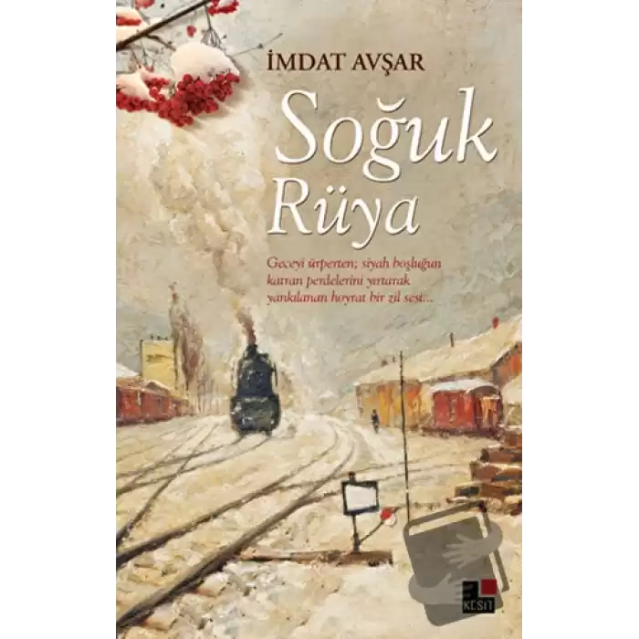 Soğuk Rüya