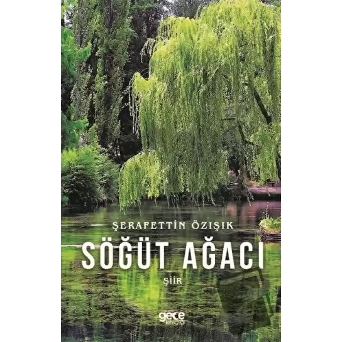 Söğüt Ağacı