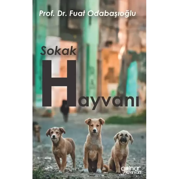 Sokak Hayvanı