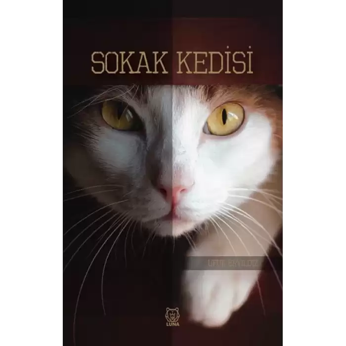 Sokak Kedisi