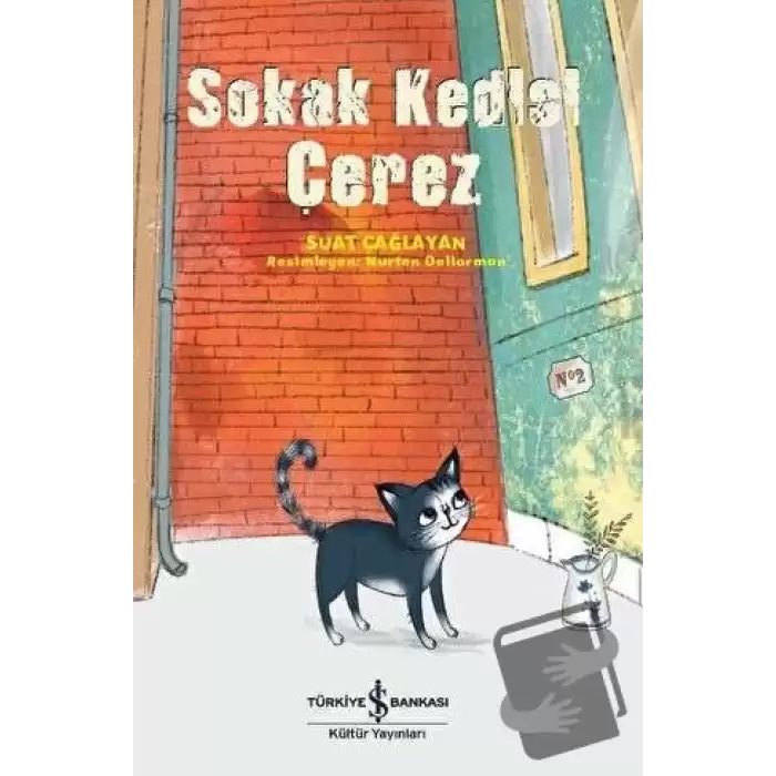 Sokak Kedisi Çerez