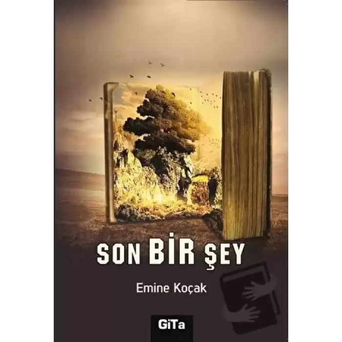 Son Bir Şey