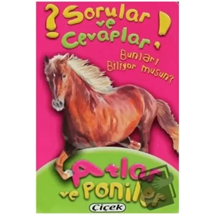 Sorular ve Cevaplar - Atlar ve Poniler