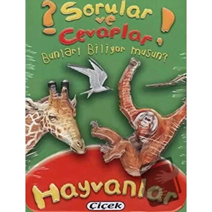 Sorular ve Cevaplar - Hayvanlar