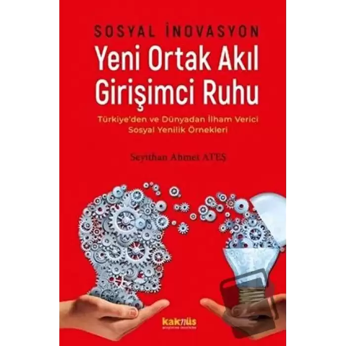 Sosyal İnovasyon Yeni Ortak Akıl Girişimci Ruhu