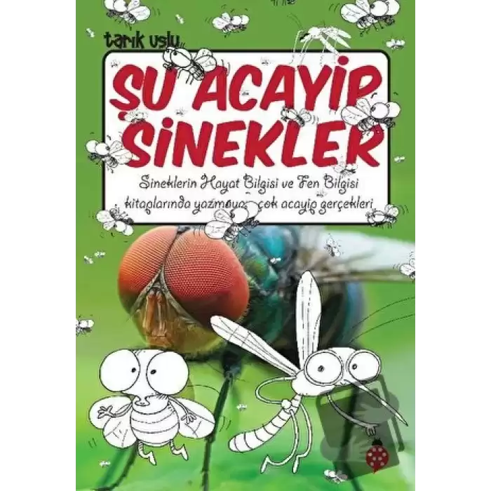 Şu Acayip Sinekler