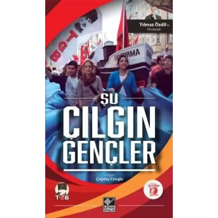 Şu Çılgın Gençler