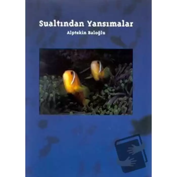 Sualtından Yansımalar