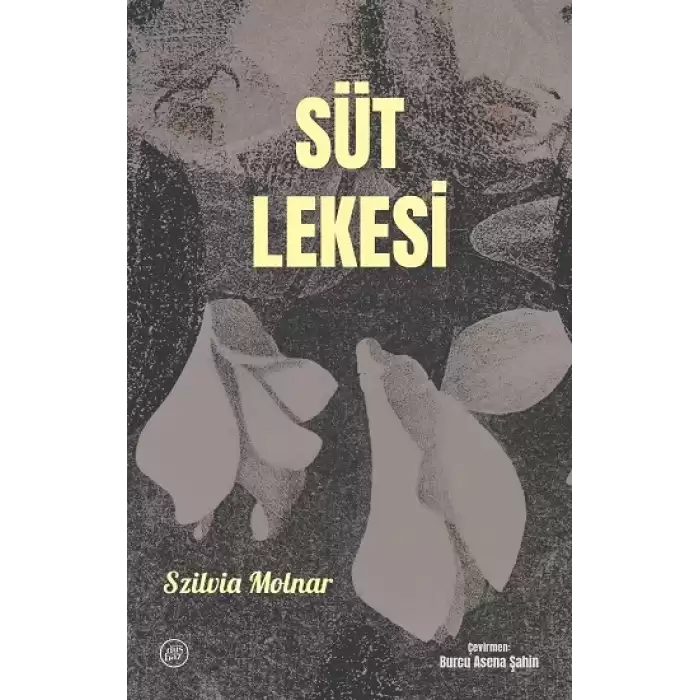 Süt Lekesi