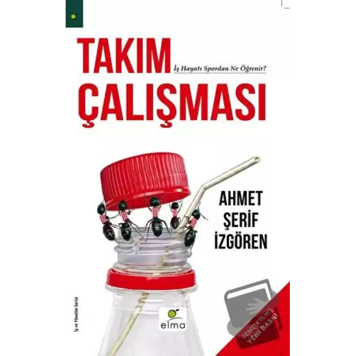 Takım Çalışması