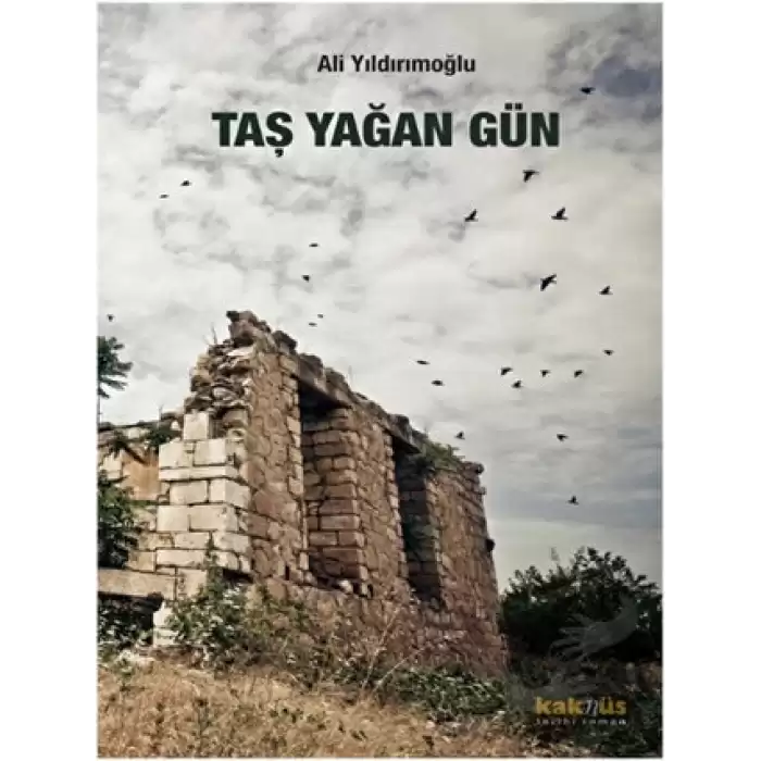 Taş Yağan Gün