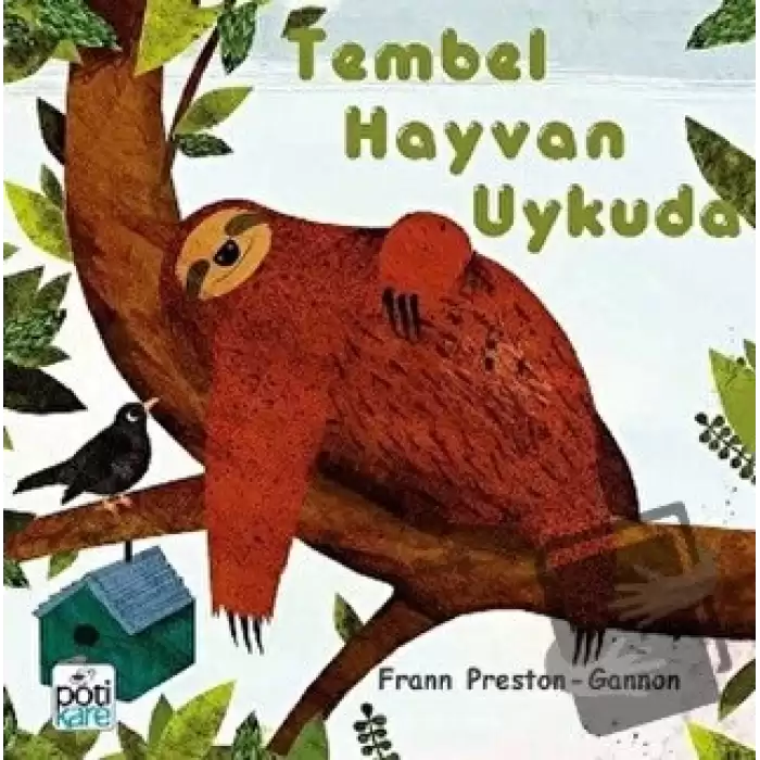 Tembel Hayvan Uykuda