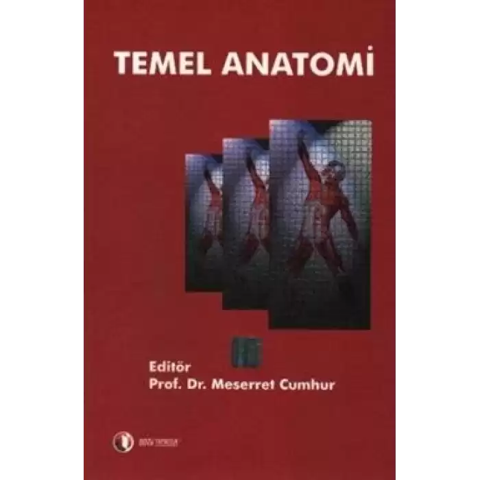 Temel Anatomi