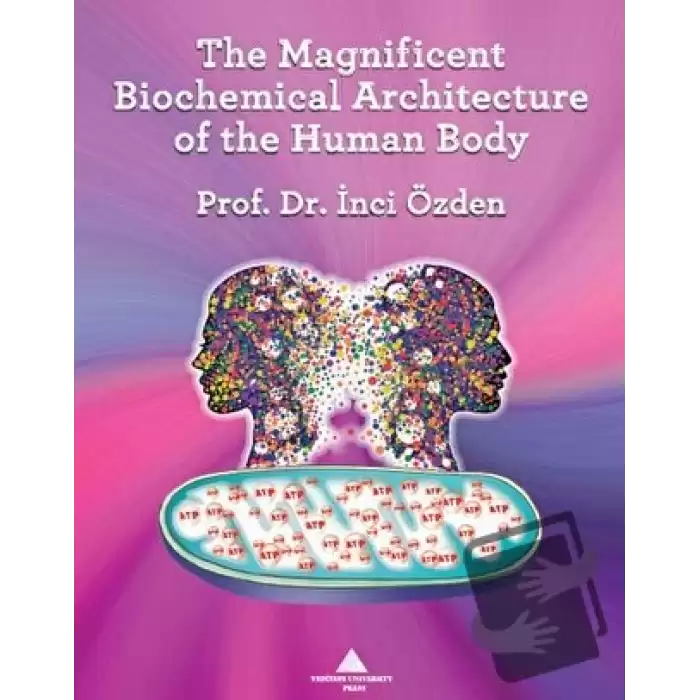 The Magnificent Biochemical Architecture of the Human Body