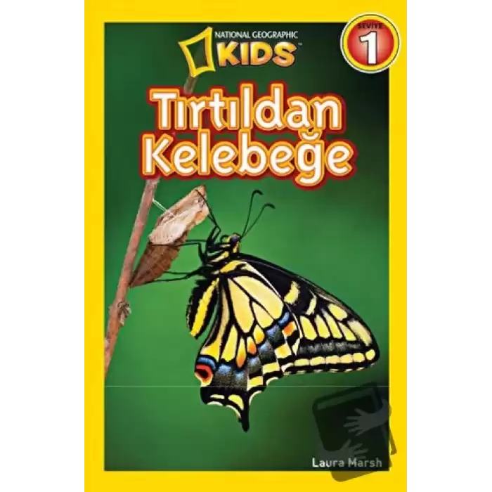 Tırtıldan Kelebeğe