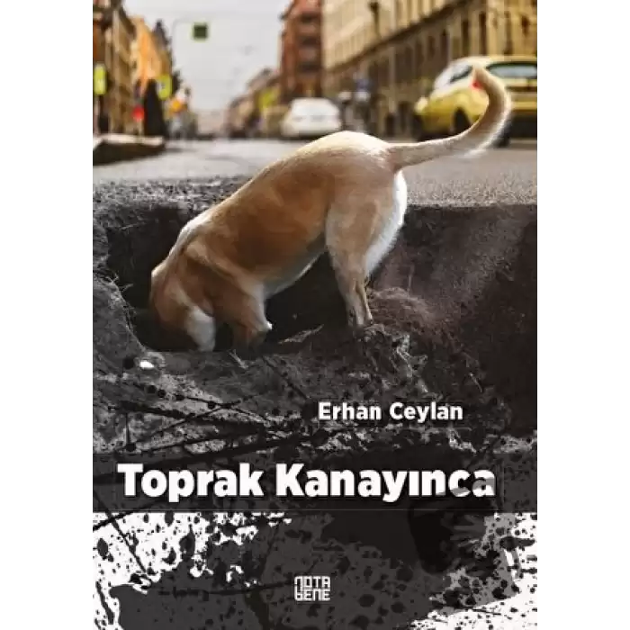 Toprak Kanayınca